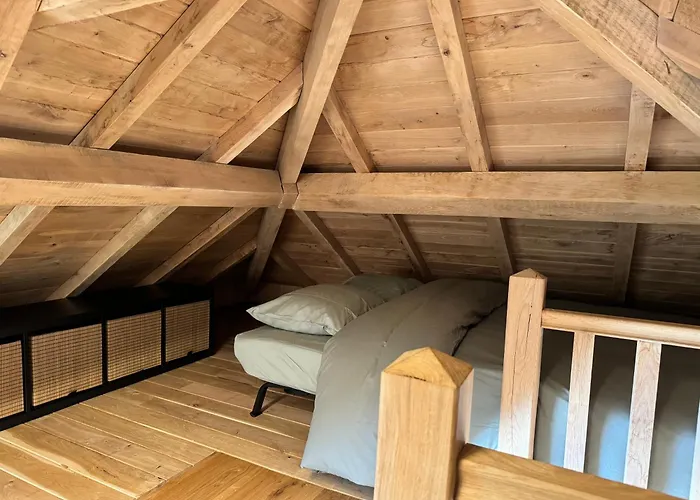 Magnifique En Bois Avec Piscine Et Jacuzzi Court-Saint-Etienne